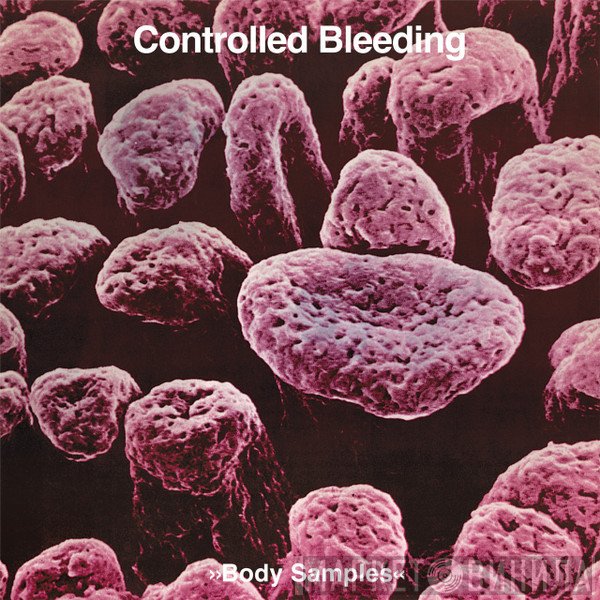 Controlled Bleeding  - Body Samples