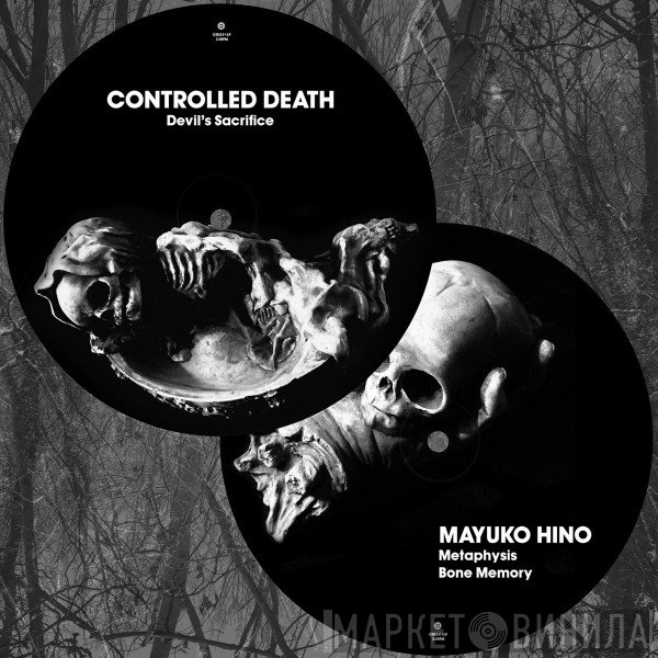 Controlled Death / Mayuko Hino  - Split