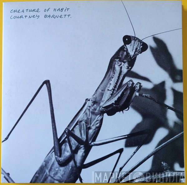 Courtney Barnett - Creature Of Habit