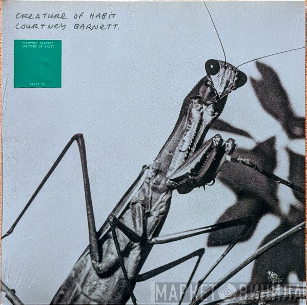 Courtney Barnett - Creature Of Habit