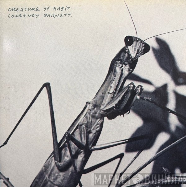 Courtney Barnett - Creature Of Habit