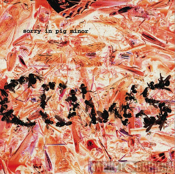 Cows  - Sorry In Pig Minor