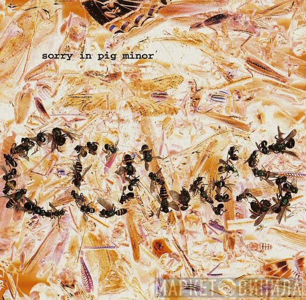 Cows - Sorry In Pig Minor