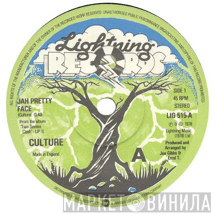 Culture - Jah Pretty Face / Natty Dread Taking Over