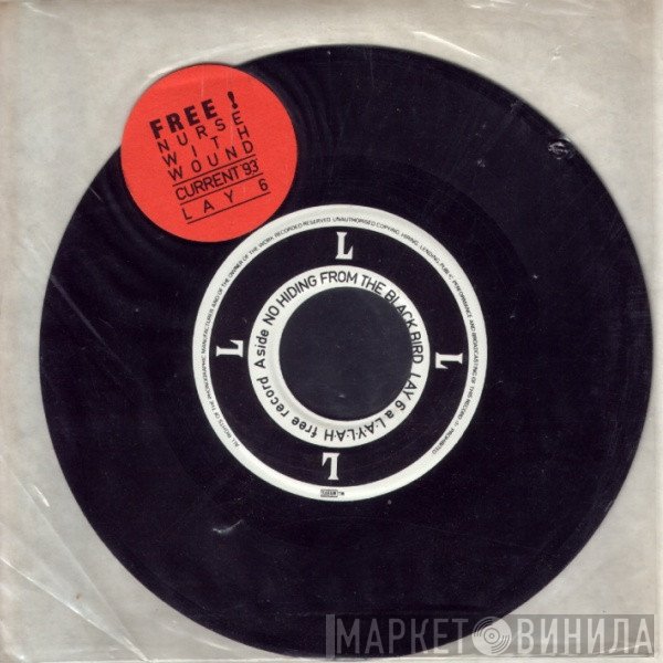 Current 93 / Nurse With Wound  - No Hiding From The Blackbird / The Burial Of The Sardine