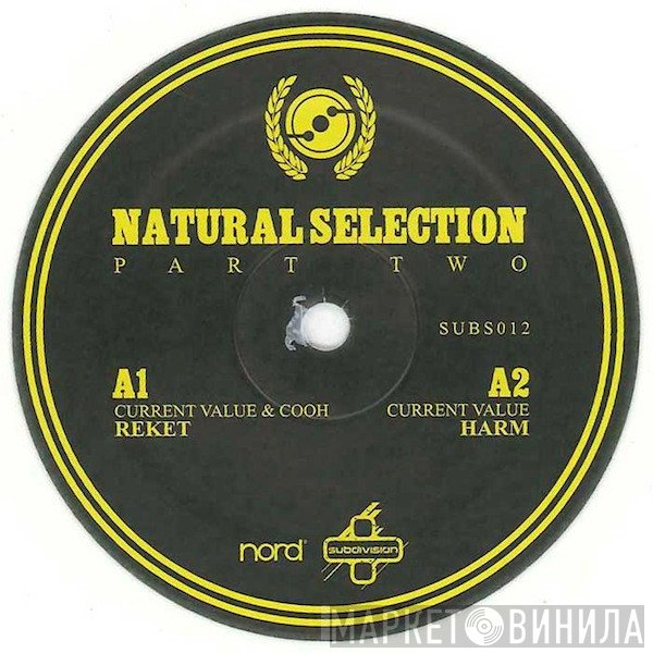 Current Value & Cooh  - Natural Selection Part Two