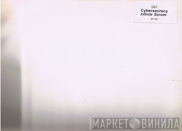 Cybersecrecy - Infinite Senses