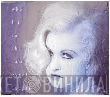 Cyndi Lauper - Who Let In The Rain