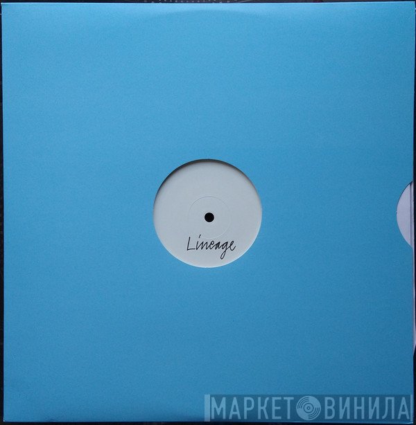 D-Bridge  - Lineage