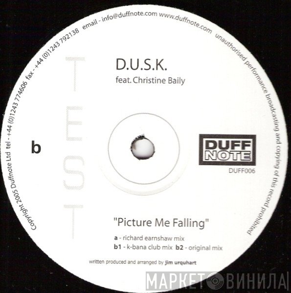 D.U.S.K., Christine Baily - Picture Me Falling