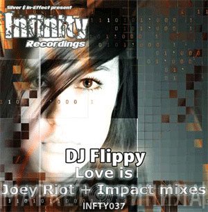 DJ Flippy - Love Is