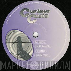 DJ Hurliman - All Shook Up