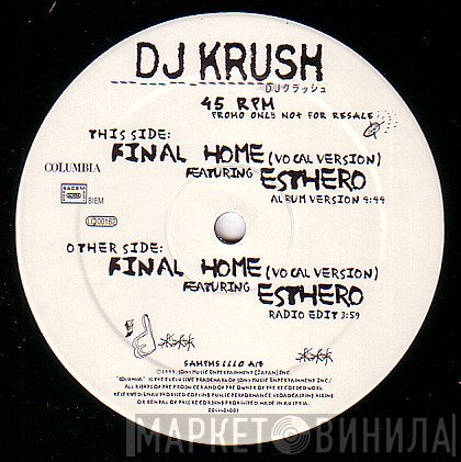 DJ Krush = DJ Krush Featuring Esthero  - Final Home (Vocal Version)