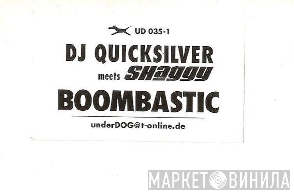 DJ Quicksilver Meets Shaggy  - Boombastic