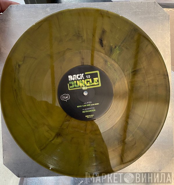 DJ SS  - Back To Jungle Vol 2