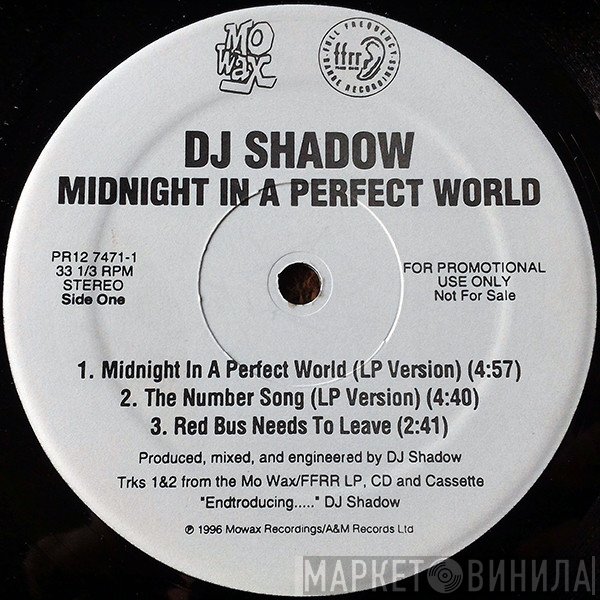 DJ Shadow  - Midnight In A Perfect World