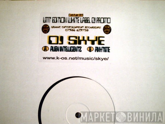 DJ Skye - Alien Intelligentz / Anytime