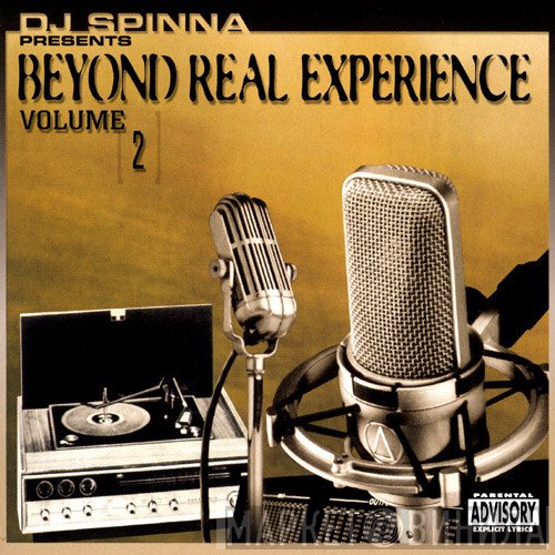 DJ Spinna - Beyond Real Experience Volume 2