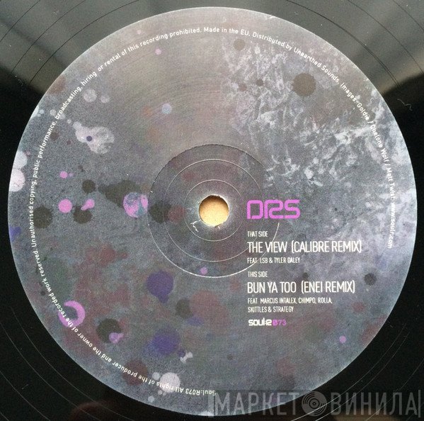 DRS - The View (Calibre Remix)