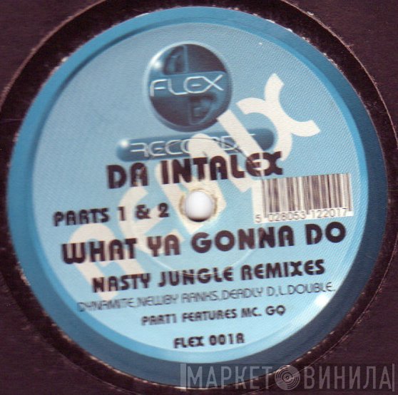 Da Intalex - What Ya Gonna Do (Nasty Jungle Remixes)