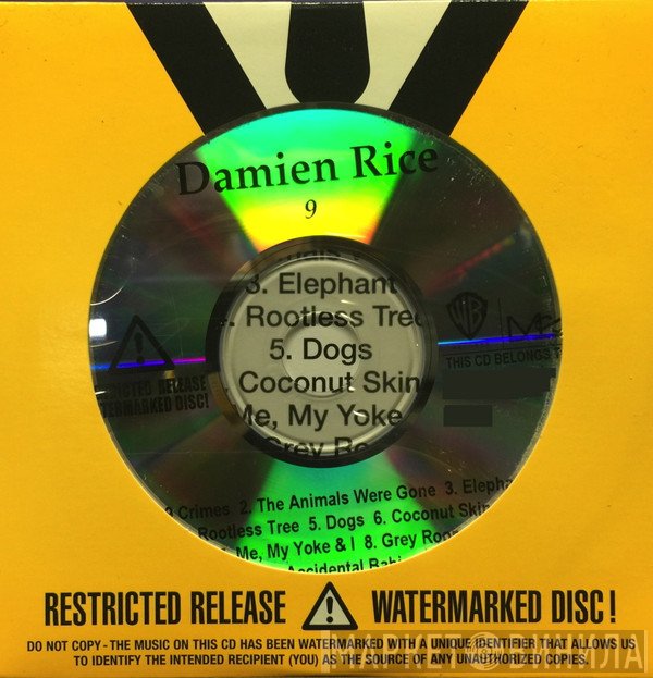 Damien Rice  - 9