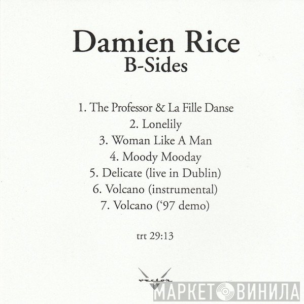 Damien Rice  - B-Sides