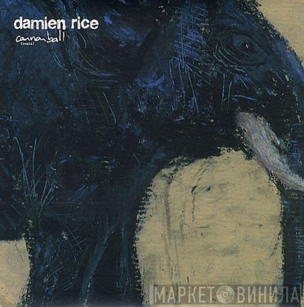 Damien Rice  - Cannonball