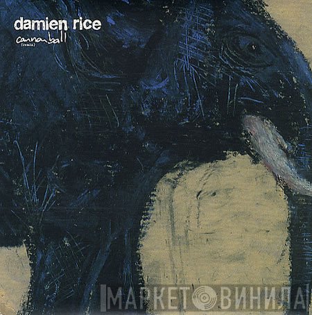 Damien Rice  - Cannonball