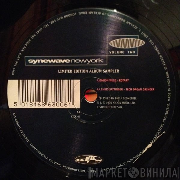 Damon Wild, Chris Sattinger - Synewave New York Volume Two