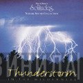 Dan Gibson  - Thunderstorm In The Wilderness