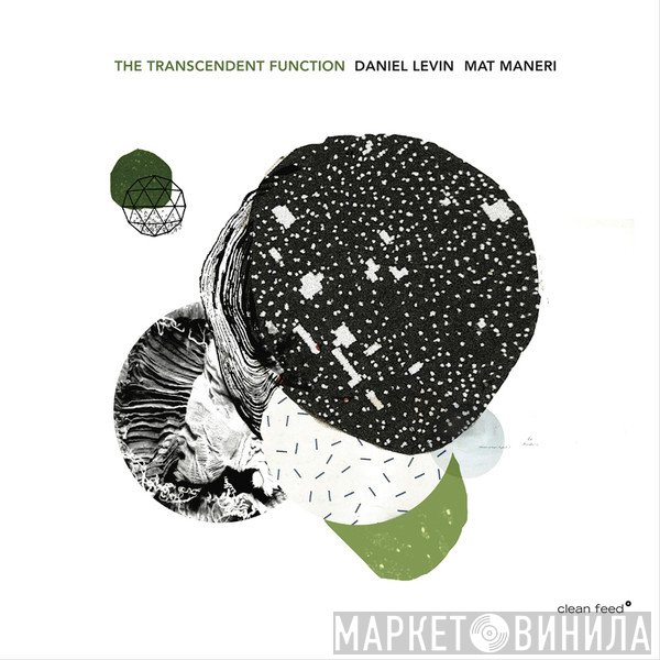 Daniel Levin , Mat Maneri - The Transcendent Function