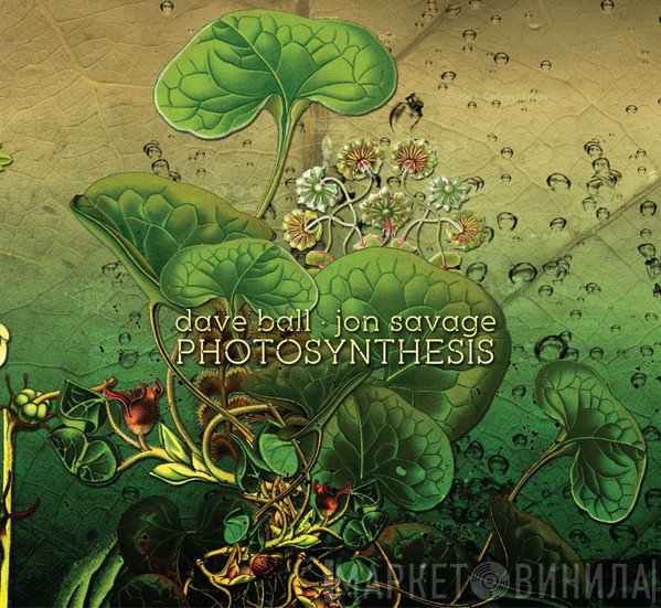 Dave Ball • Jon Savage   - Photosynthesis