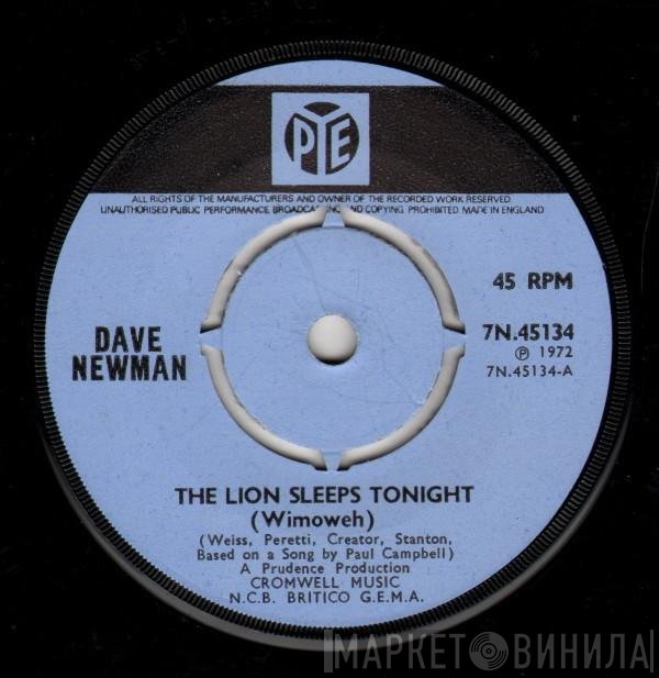 Dave Newman  - The Lion Sleeps Tonight (Wimoweh)