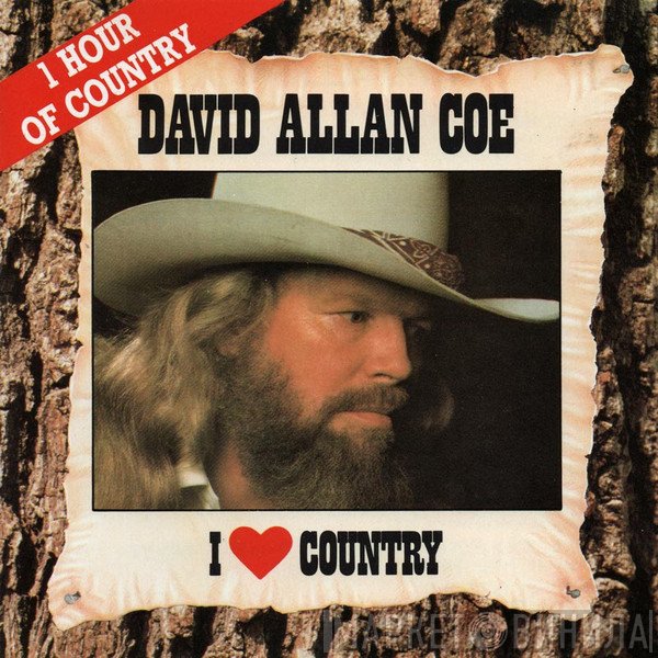 David Allan Coe - I Love Country