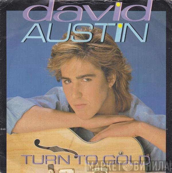 David Austin - Turn To Gold