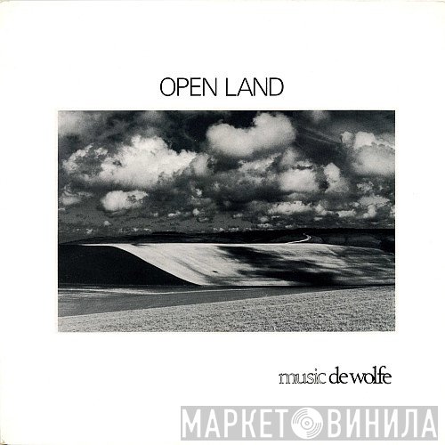 David Bradnum - Open Land