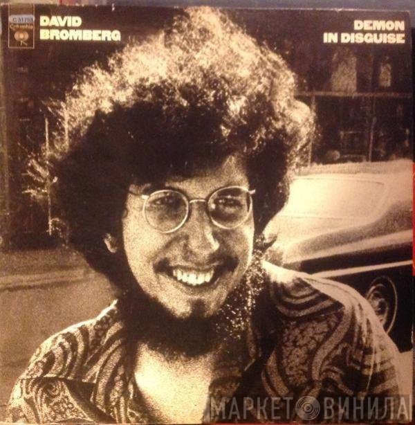 David Bromberg  - Demon In Disguise