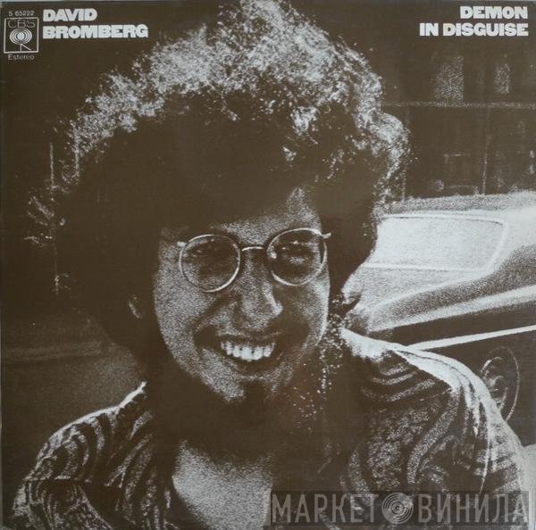 David Bromberg  - Demon In Disguise