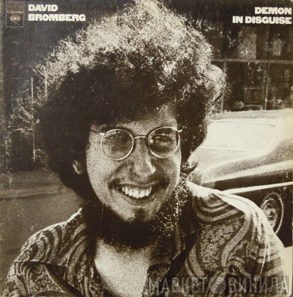 David Bromberg  - Demon In Disguise