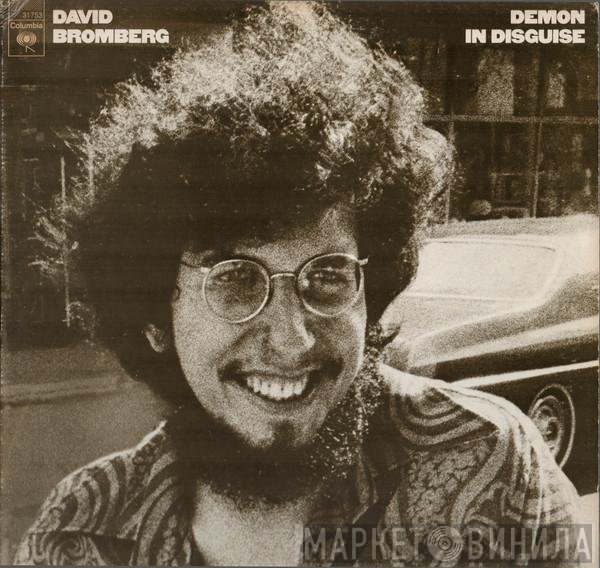 David Bromberg  - Demon In Disguise
