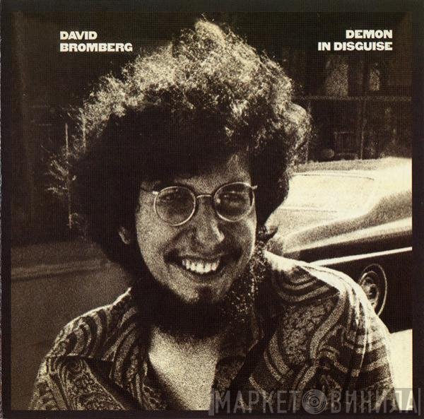 David Bromberg  - Demon In Disguise