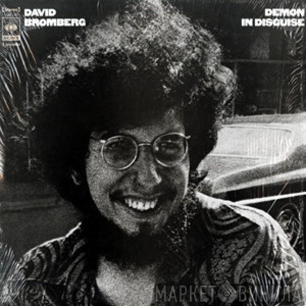 David Bromberg  - Demon In Disguise