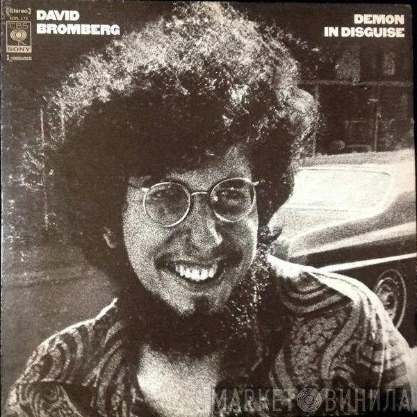 David Bromberg  - Demon In Disguise