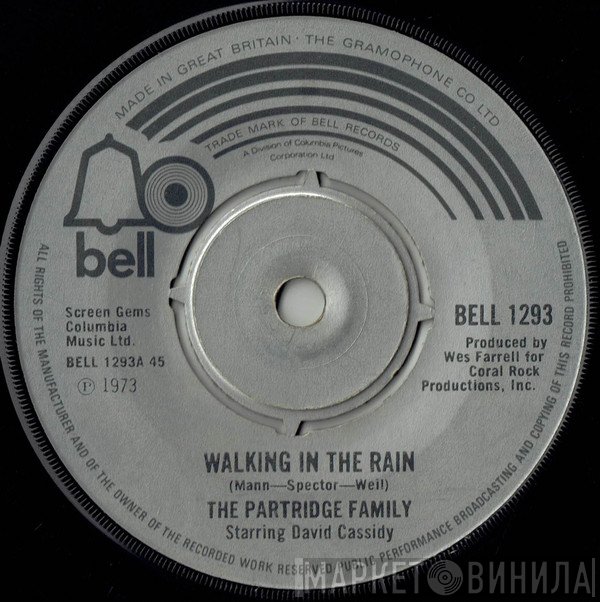 David Cassidy, The Partridge Family - Walking In The Rain
