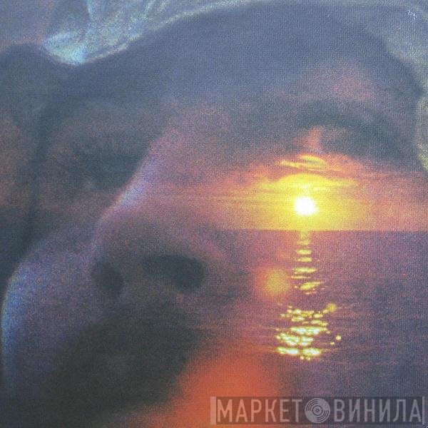 David Crosby - If I Could Only Remember My Name