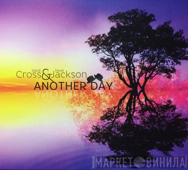 David Cross & David Jackson  - Another Day