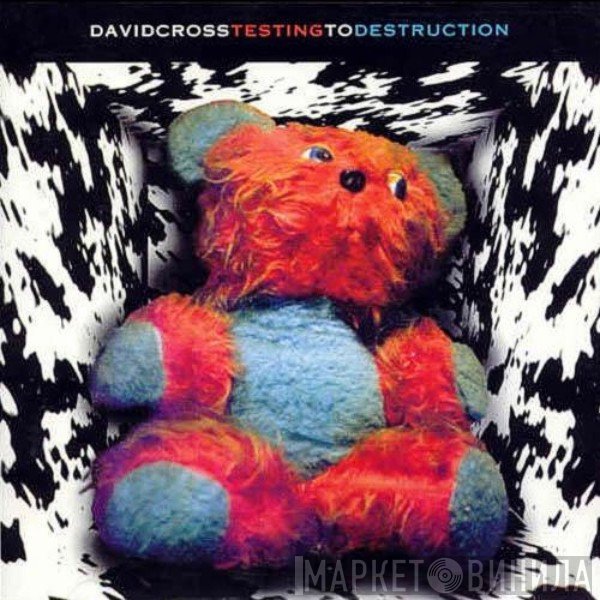 David Cross  - Testing To Destruction