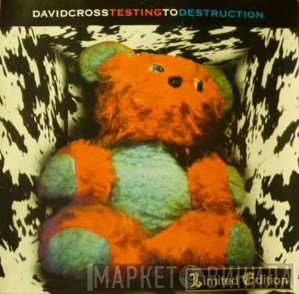 David Cross  - Testing To Destruction