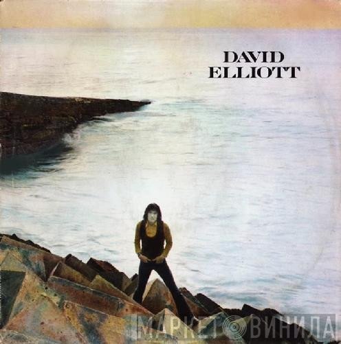 David Elliott  - David Elliott
