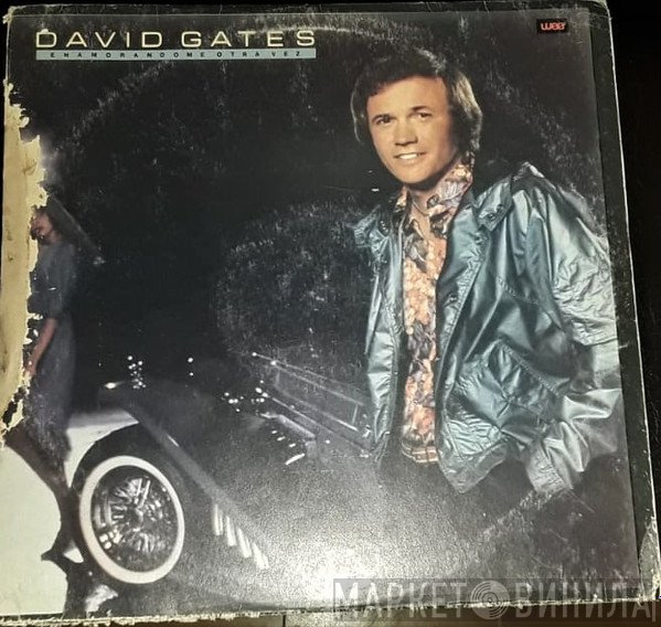 David Gates  - Falling In Love Again